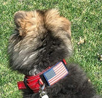 2-Inch Wide Tactical Dog Collar with Control Handle, Adjustable for Medium & Large Dogs, Military Style with Heavy-Duty Metal Buckle, USA Flag Patch & Customizable Name Plate, Training & Everyday Use