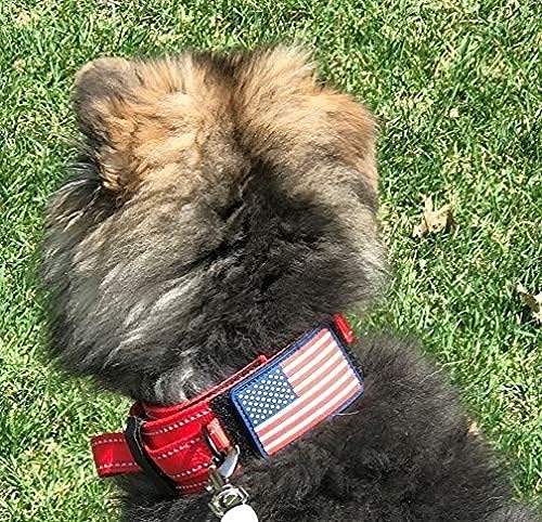 2-Inch Wide Tactical Dog Collar with Control Handle, Adjustable for Medium & Large Dogs, Military Style with Heavy-Duty Metal Buckle, USA Flag Patch & Customizable Name Plate, Training & Everyday Use