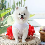 Cute Pet Frilly Dress for Dogs and Cats - Spring and Summer Fruit-Themed Party Gown for Small, Medium, and Large Breeds