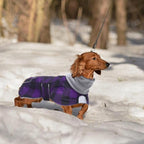 Dachshund Coats Waterproof Suitable for Dachshunds Sausage Weiner Dog Winter Coat Padded Fleece Puppy Snowsuit with Adjustable Bands Reflective Stripe - Plaid Purple - S