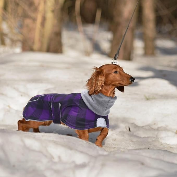 Dachshund Coats Waterproof Suitable for Dachshunds Sausage Weiner Dog Winter Coat Padded Fleece Puppy Snowsuit with Adjustable Bands Reflective Stripe - Plaid Purple - L