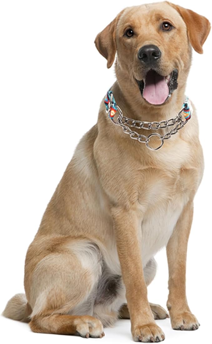 Martingale Collar for Dogs,Stainless Steel Choker Collar for Dogs,Training Escape Proof Heavy Duty Dog No Pull Dog Collar for Medium Large Pet Boy Male Dogs, Boho Aztec M