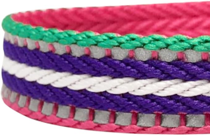 Blueberry Pet 4 Colors 3M Reflective Multi-Colored Stripe Martingale Safety Training Dog Collar, Pink Emerald and Orchid, Medium, Heavy Duty Adjustable Collars for Dogs