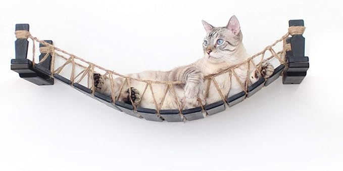 CatastrophiCreations Cat Bridge Wall-Mounted Play and Lounge Toy Cat Tree Tower Alternative for Pets