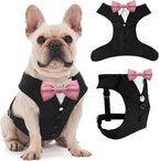 AVERYDAY Dog Tuxedo for Wedding Outfit, Dog Suit and Tie Costumes for Birthday, Halloween, Cosplay, Christmas Party, Pet Formal Wear with Bowtie, Tux for Medium Large Dogs, Bulldog, Labrador, Husky