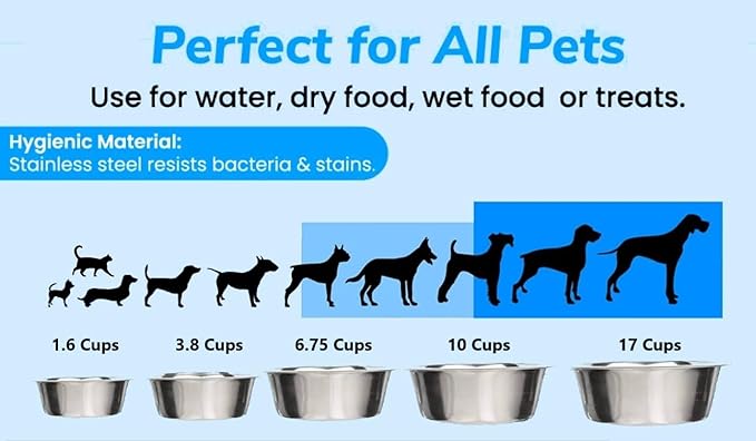 Greendale - 2 Pack - 3.8 Cup Capacity - Stainless Steel Metal Dog Bowls - Perfect for Dog Food and Water. Wrong Size? Click to Look at Our Size Options.