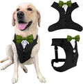 AVERYDAY Dog Tuxedo for Wedding Outfit, Dog Suit and Tie Costumes for Birthday, Halloween, Cosplay, Christmas Party, Pet Formal Wear with Bowtie, Tux for Medium Large Dogs, Bulldog, Labrador, Husky