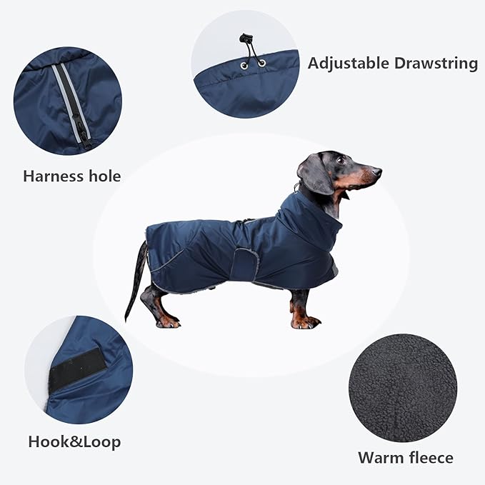 Dachshund Coats Waterproof, Perfect for Dachshunds, Sausage, Weiner Dog Winter Coat with Padded Fleece, Puppy Snowsuit with Adjustable Bands and High Vis Reflective Trim - Navy - XS