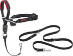Halti Optifit Headcollar Size Medium & Halti Training Leash Size Large, Black Combination Pack - Stop Your Dog Pulling on the Leash. Adjustable with Padded Nose Band. Suitable for Medium Dogs