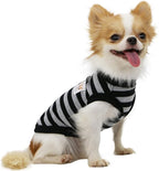 LOPHIPETS 100% Cotton Striped Dog Shirts for Small Dogs Chihuahua Puppy Clothes Tank Vest-Black and Gray Strips/M