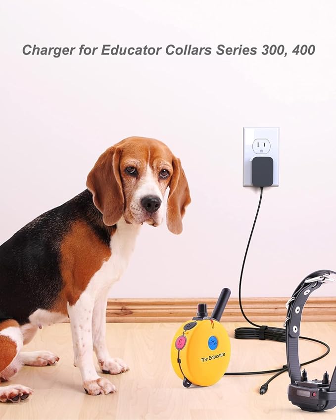 Training Collars Charger Compatible with Mini Educator Series 300, 400, RX, FOB and BP-504 Barkless Training Collars.