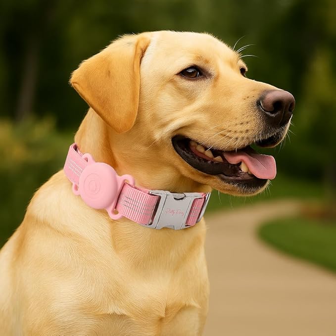 AirTag Holder Dog Collar for Large Medium Dogs, Adjustable Nylon Dog Training Collar with Quick Release Buckle, Reflective Heavy Duty Tactical Dog Collar with Handle (Pink L)