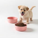 Set of 2 Pink Ceramic Dog Bowls for Food and Water, 5 Inch Wide Cute Pet Dishes for Small Size Dogs/Puppy