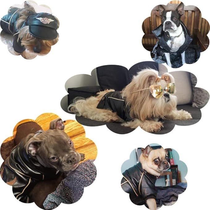 Dog Winter Coat Pu Leather Motorcycle Jacket for Dog Pet Clothes Leather Jacket, Waterproof(S)