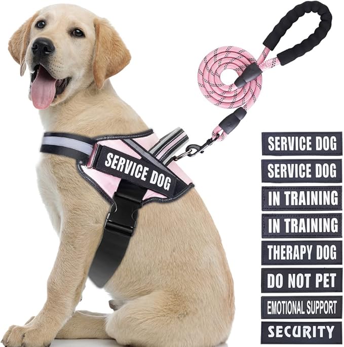 Service Dog Vest Harness and Leash Set, Animire in Training Dog Harness with 10 Dog Patches, Reflective Dog Leash with Soft Padded Handle for Small, Medium, Large, and Extra-Large Dogs(Pink,L)