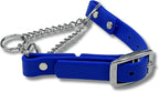Martingale Collar for Dogs, Biothane, Stainless Steel Hardware, No Pull, Made in The USA, Professional Grade, XXS, Blue
