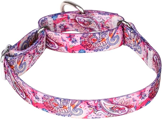 Serijoars Adjustable Martingale Dog Collar Heavy Duty Nylon Dog Collar for Medium Large Dogs Walking Training Boy and Girl Dogs (M, Pink)