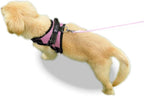 No Pull Reflective Adjustable Dog Harness With Handle- Comfortable Soft All Weather Mesh, Easy On Puppy Harness For Small Medium and Large Dogs (Pink) Medium