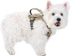 Tactical Dog Harness for Small Dog - Reflective Puppy Pet Vest No Pull Military Service Dog Vest with Vertical Handle XS Dog Harness for Outdoor Training