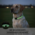 Training Collar Replacement Straps Adjustable Nylon Bands for E-Collars & Shock Collars, 2-Pack (Black&Green) - Dog Collar Accessory Fits Most 3/4 Inch Electronic Training Collars