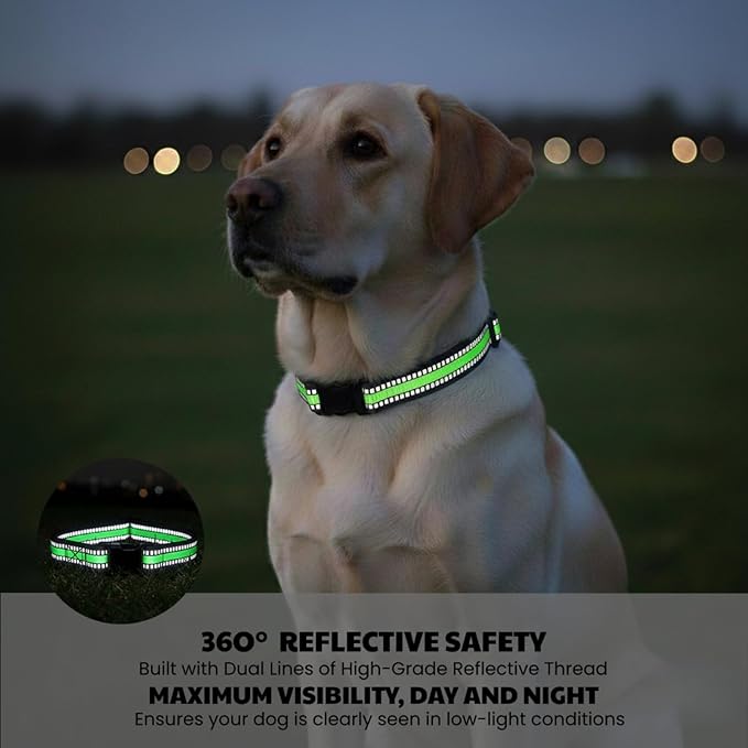 Shock Collar Replacement Strap, E Collar Replacement Strap Reflective Adjustable, 3/4 Inch Wide Nylon Replacement for Dog Training Collar, Bark Collar and Electronic Collars - Universal Fit (Green)