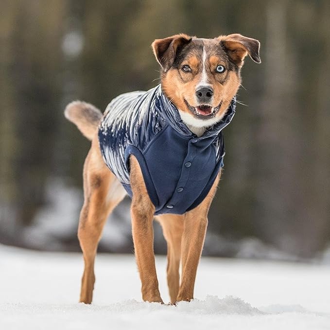 Blueberry Pet Cozy & Comfy Windproof Lightweight Quilted Fall Winter Glossy Dog Puffer Jacket in Navy Blue, Back Length 24", Size 22, Warm Coat for Large Dogs