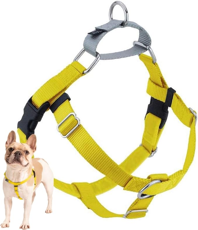 2 Hounds Design Freedom No Pull Dog Harness, Adjustable Harness, Easy Walking & Comfortable Control, Fits Small, Medium & Large Dogs, Solid Colors, Made in USA, 1" XL, Yellow