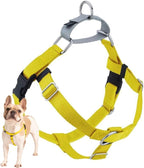 2 Hounds Design Freedom No Pull Dog Harness, Adjustable Harness, Easy Walking & Comfortable Control, Fits Small, Medium & Large Dogs, Solid Colors, Made in USA, 1" LG, Yellow