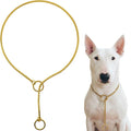 Dog P Snake Chain Chrome Plated Metal Dog Training Choke/Collar-Fully Guaranteed Against Rust Tarnish or Breakage-Recommended for Professional Training (Golden, 5mm * 30")
