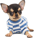 LOPHIPETS 100% Breathable Cotton Striped Dog Tee Shirt T-Shirt for Small Dogs Teacup Chihuahua Yorkie Puppy Clothes-Blue and White Strips/XXS