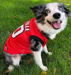 NCAA Basketball Pet Jersey LOUISVILLE CARDINALS Dog Jersey, Small