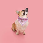 Elegant Little Tail Dog Bandana - 1PC Washable Cotton Summer Dog Kerchief Reversible Bibs/Scarf Triangle Scarf for Small to Large Dogs