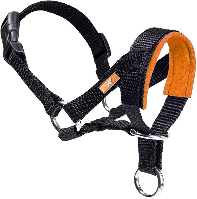 Dog Head Collar with Soft Fabric, Head Harness Stops Dog Pulling, Head Leash for Small Medium Large Dogs Walking (L,Orange)