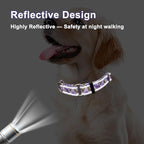 Reflective Martingale Collar for Dogs with Quick Release Buckle Cute Girl Female Flower Dog Collars (Lavender Floral, Medium)