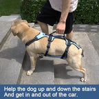 Coodeo Dog Lift Harness, Full Body Support & Recovery Sling, Pet Rehabilitation Lifts Vest for Old Dog with Arthritis Walk(Bule,XL)