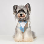 Fall Dog Tuxedo Bandana, Orange Plaid Pet Collar with Bowtie, Adjustable Halloween Thanksgiving Dog Tux Costume for Small to Extra Large Pets