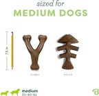 Benebone 2-pack Fishbone/Wishbone Durable Dog Chew Toys, Real Fish, Real Bacon, Made in USA, Medium