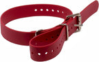 Educator 1-Inch Dog Training Collar Strap – ONLY Fits FE-580, ET-800 & UL-1200 Receivers – NOT Compatible with Mini Educator (ET-300/ET-400) – Durable Biothane Collar, Red