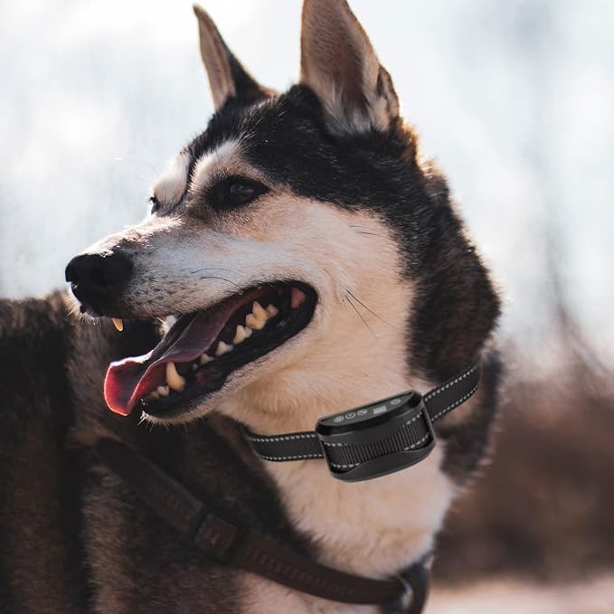 Replacement Collar for Shock Collar with Quick Release Metal Buckle Adjustable Reflective Nylon Strap Fits Most Training Collars and Bark Collars, E Collar Replacement Strap