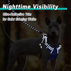 BARKBAY Dog Harness No Pull Mesh for Large Dogs - Adjustable, Reflective, Comfortable, No Choke, Heavy-Duty - Perfect for Outdoor Training, Walking, and Hiking-Strong&Durable- L & Sapphire Blue Mesh