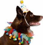 Pet Krewe Dog Clown Costume Happy Birthday Hat & Collar Outfit | 1st Bday Party, National Cat Day, Photo Shoots & Celebrations | Doggie & Puppy Clothes | Ideal Gift for Small, Medium & Large Pets
