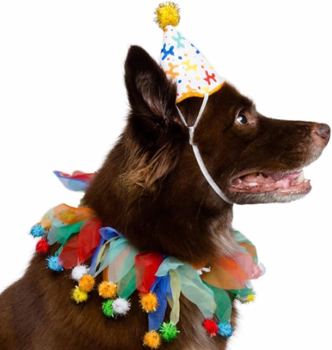 Pet Krewe Dog Clown Costume Happy Birthday Hat & Collar Outfit | 1st Bday Party, National Cat Day, Photo Shoots & Celebrations | Doggie & Puppy Clothes | Ideal Gift for Small, Medium & Large Pets