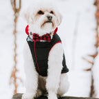 Gooby - Sports Vest, Fleece Lined Small Dog Cold Weather Jacket Coat Sweater with Reflective Lining, Black, Large