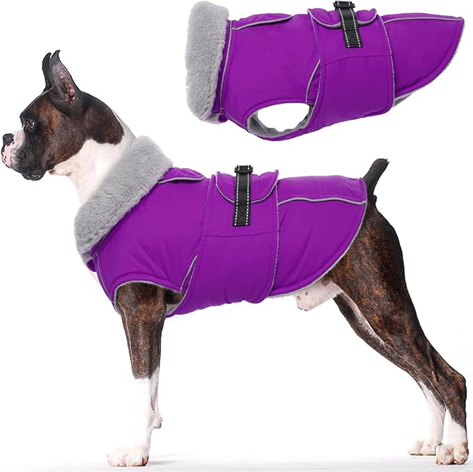 Lelepet Warm Dog Winter Coats for Medium Dogs Waterproof Dog Jacket Reflective Pet Fleece Vest Windproof Cold Weather Coats with Adjustable Buckle & Leash Hole, Purple, M