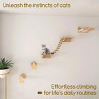 20in Multi-Functional Cat Ladder & Bridge - DIY Cat Climbing Frame with Sisal Rope for Indoor/Outdoor Cats, Parrots, and Small Pets (Wood, 20in)