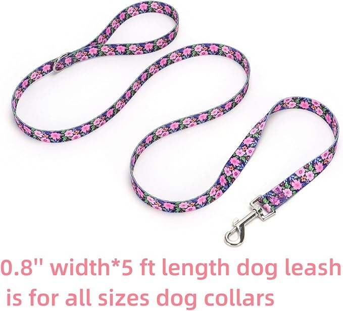 Dog Collar with Leash Airtag Holder Case Set - Dog Collars for Male Female Boy Girl Puppy X-Small Small Medium Large Dogs Walking Running Training - Daisy/M