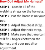 Best Pet Supplies Voyager Adjustable Step-in Flex Breathable Mesh Dog Harness for Small Medium Large Dogs Leash Set (Black), XS