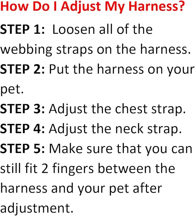 Best Pet Supplies Voyager Adjustable Step-in Flex Breathable Mesh Dog Harness for Small Medium Large Dogs Leash Set (Turquoise), M