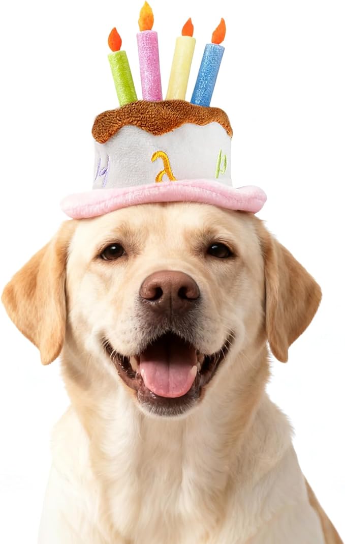 LESYPET Dog Cat Birthday Hat, Cute Birthday Cake Hat with 4 Color Candles for Cats Dogs, Pet Birthday Supplies Party Apparel Accessory, Size L