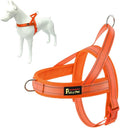 Plutus Pet No Pull Dog Harness with Breathable Mesh Padded, Adjustable Reflective Escape Proof Dog Harness, Quick Fit Dog Vest Harness for Small Medium Large Dogs(S, Orange)